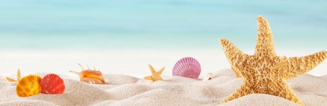 Comment prendre soin de mes cheveux l’été ?